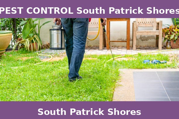 PEST CONTROL South Patrick Shores